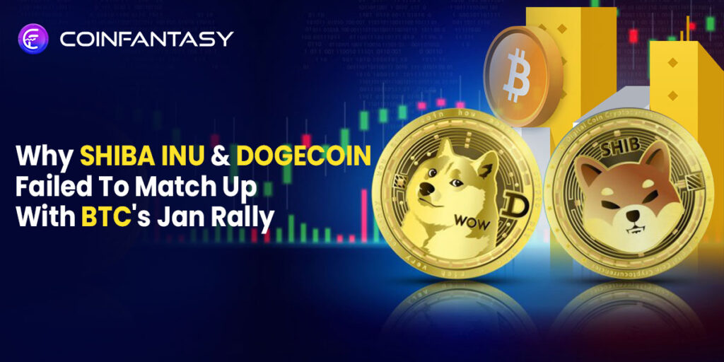 Why Shiba Inu And Dogecoin Failed To Match Up With BTC